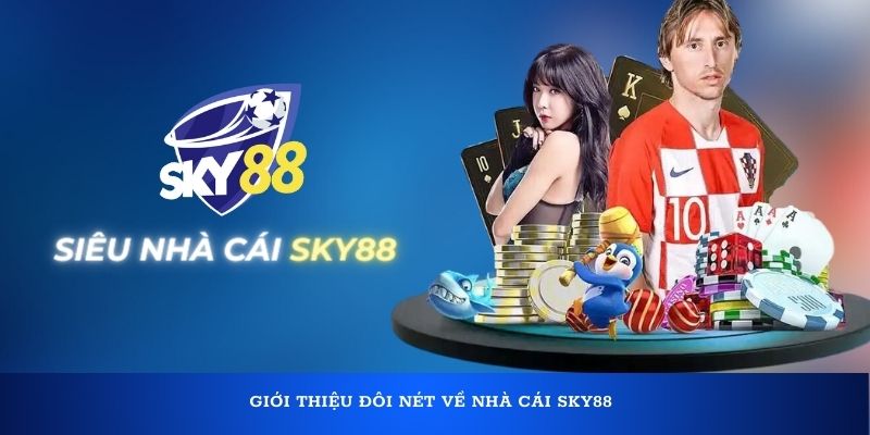 gioi-thieu-doi-net-ve-nha-cai-SKY88